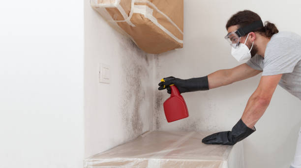 Professional Mold Remediation technician working in Little Ferry, NJ